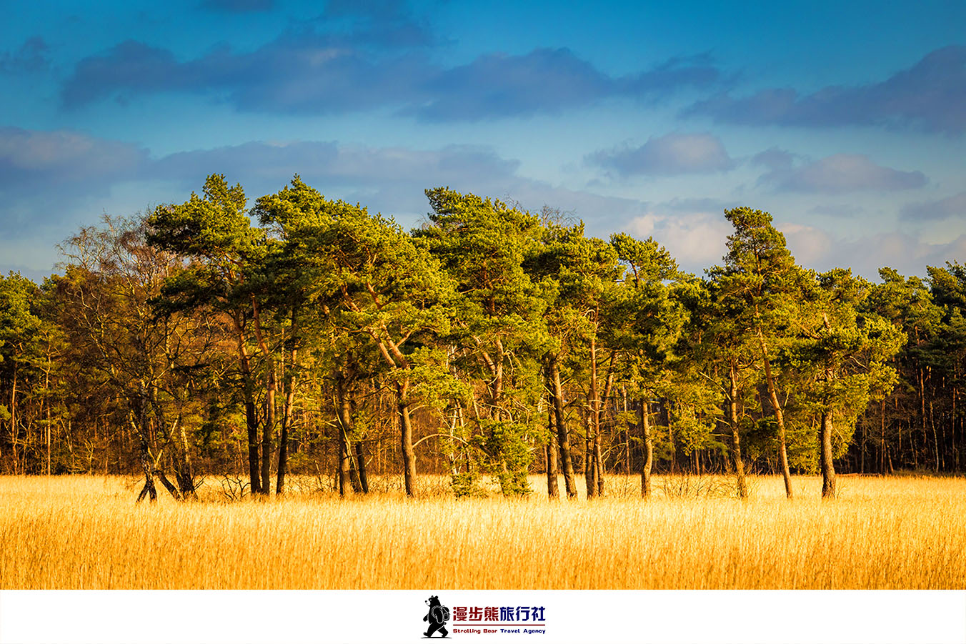 收藏这份漫游清单！国